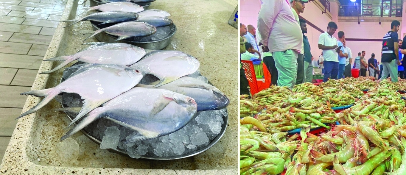 Fresh shrimp and fish displayed at Kuwait’s East Market after 573 tons of catch supplied in August.