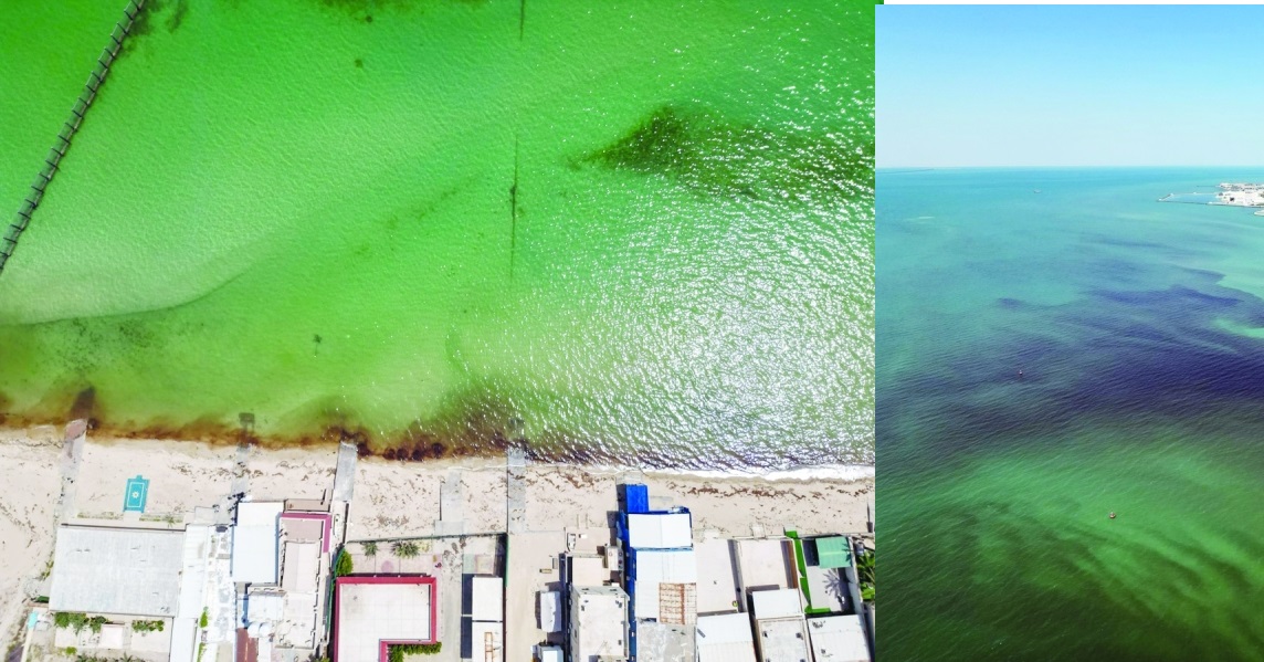 Sea Pollution Penalty Kuwait-Imprisonment and Fine of Up to 200,000 Dinars for Sea Pollution