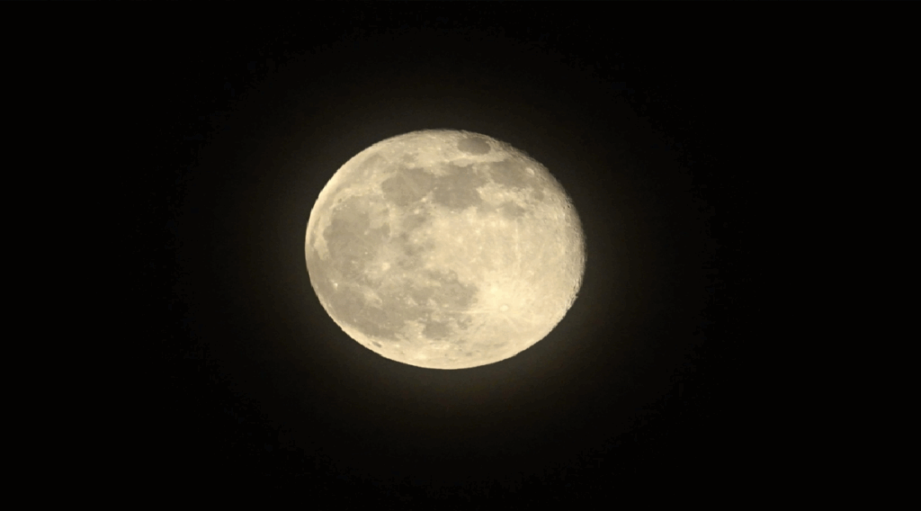Super Beaver Moon Kuwait Lights Up the Night Sky in a Stunning Astronomical Event