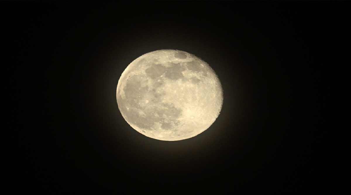 Super Beaver Moon Kuwait