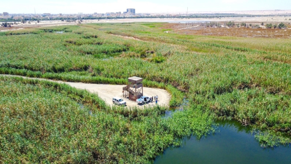 Kuwait nature reserves